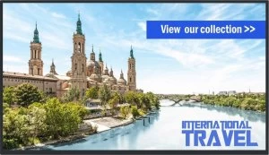 Image of Panasonic 49" TH49SF2E HD LED Display