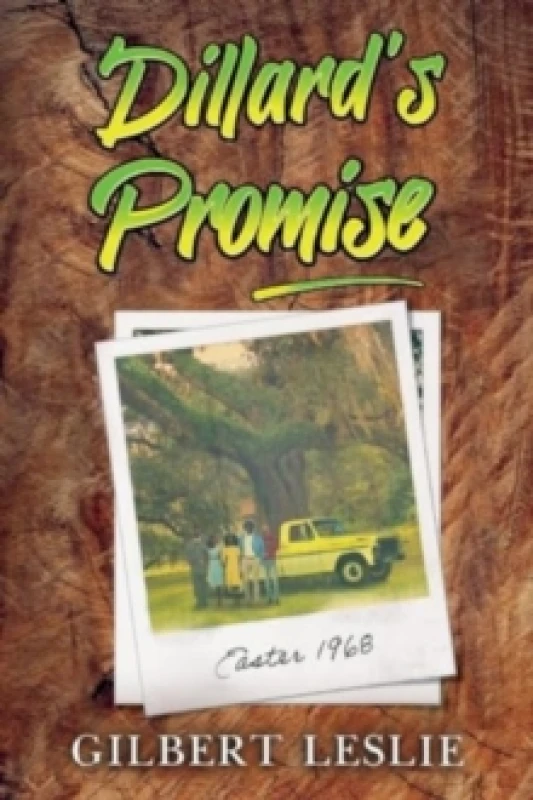 Image of Dillard's Promise Paperback / softback