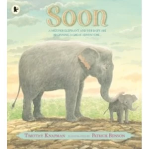 Image of Soon by Timothy Knapman (Paperback, 2016)