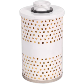 image of Sealey TPF01.F Replacement Filter