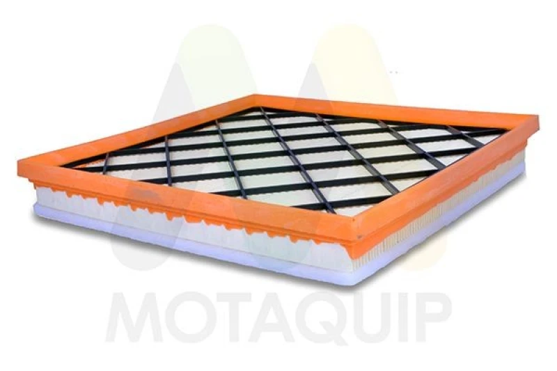 Image of MOTAQUIP Air filter MOTAQUIP LVFA1420