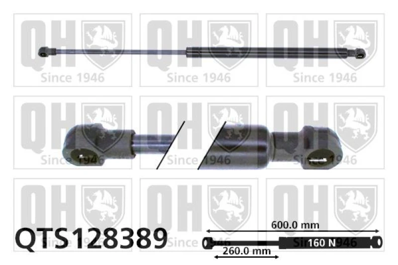 Image of QUINTON HAZELL Tailgate strut QUINTON HAZELL QTS128389