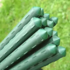 Image of Plant Stake Bundle - 0.75m Long x 11mm o (pack of 20)