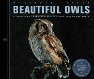 Image of Beautiful Owls by Marianne Taylor Book