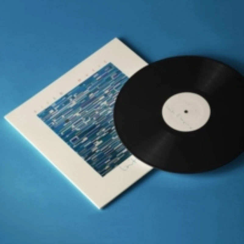 Image of Limits of Language Vinyl