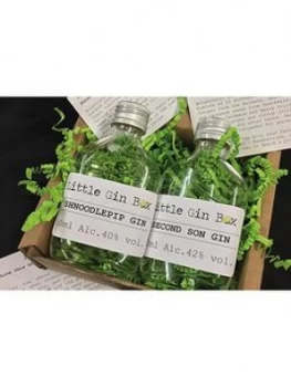 image of Virgin Experience Days Twelve Months Gin Subscription With Little Gin Box