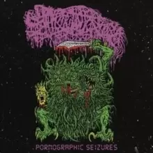 Image of Pornographic Seizures