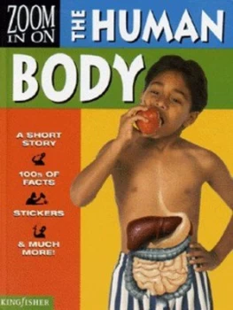 Image of Zoom in on the Human Body by Sally Morgan Paperback