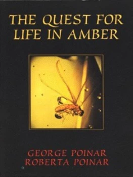 Image of The Quest for Life in Amber by George Poinar Book