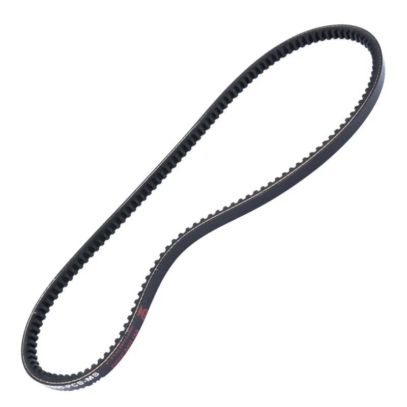 Image of MASTER-SPORT V-Belt MASTER-SPORT AVX-10X800-PCS-MS
