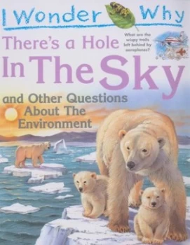 Image of I Wonder Why Theres a Hole in the Sky by Sean Callery Paperback