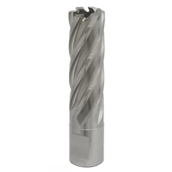 Image of Rotabor Cutter HSS 19MM - Cut Depth 50MM
