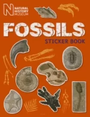 Image of fossils sticker book