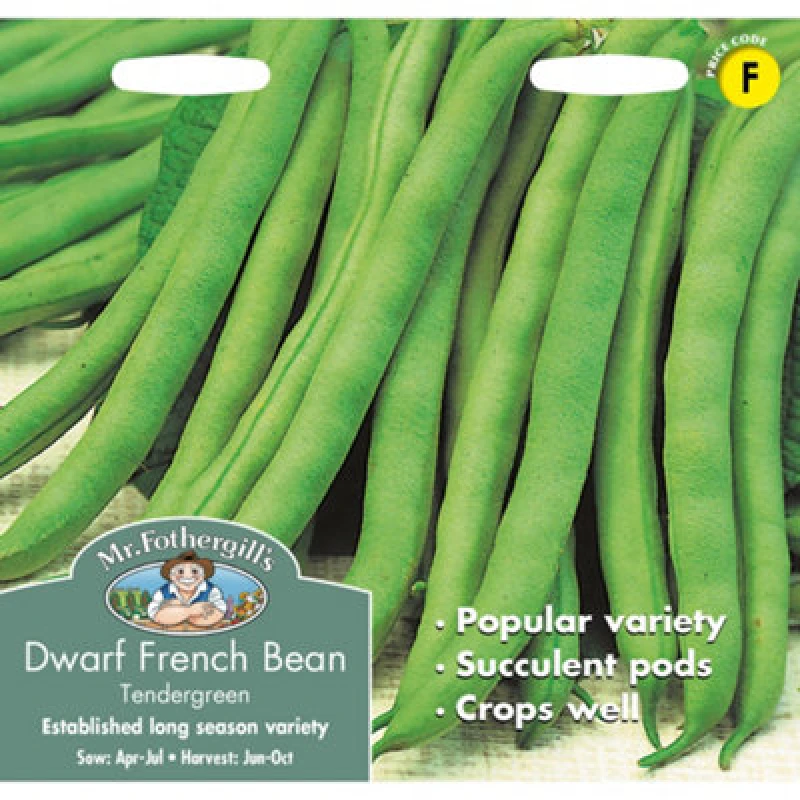 Image of Mr. Fothergill's Dwarf Bean Tendergreen (Phaseolus Vulgaris) Seeds