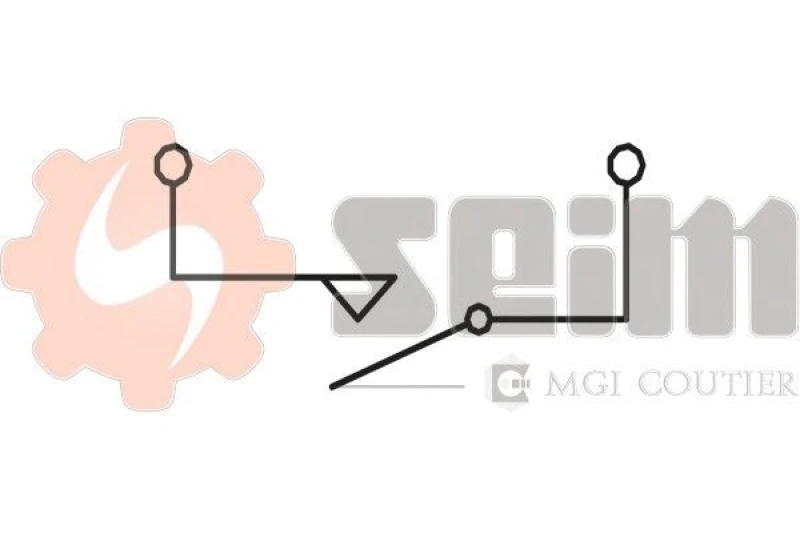 Image of Reverse light switch SEIM FR106
