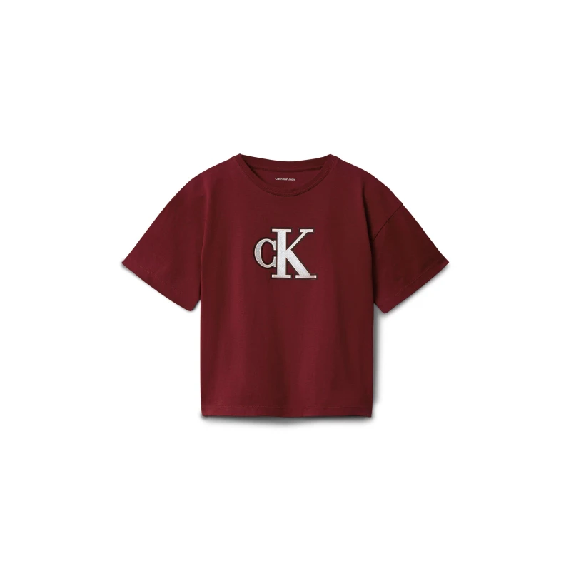 Image of Calvin Klein Jeans Kids Big Logo Regular Fit T-Shirt Raspberry XU4 female 12Y