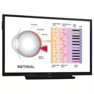 Image of 65&amp;quot; Black Interactive Display 4K Ultra HD 350 cd/m2