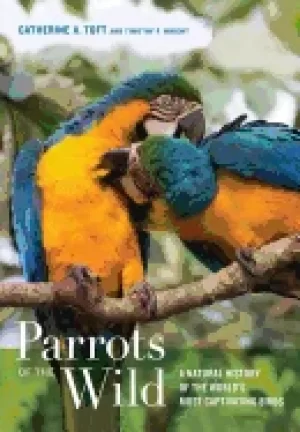 Image of parrots of the wild a natural history of the worlds most captivating birds