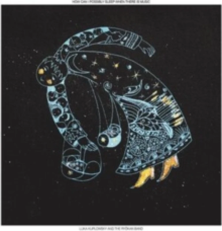 Image of How Can I Possibly Sleep When There Is Music CD / Album Digipak