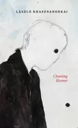 Image of chasing homer