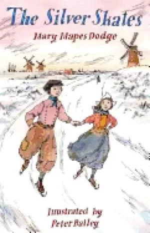 Image of silver skates