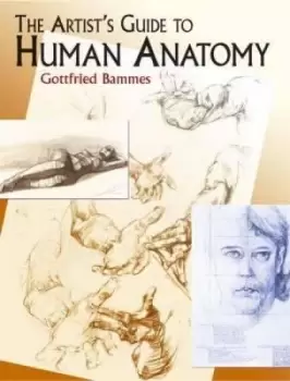 Image of The Artist's Guide to Human Anatomy by Gottfried Bammes
