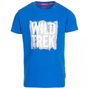 image of Trespass Childrens Boys Zealous T-Shirt (3-4 Years) (Blue)