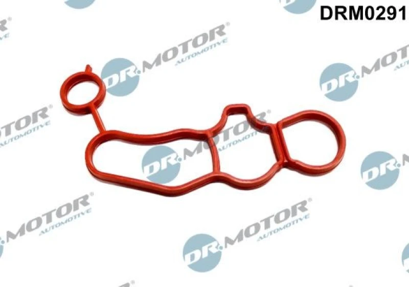 Image of DR.MOTOR AUTOMOTIVE Oil filter housing gasket DR.MOTOR AUTOMOTIVE DRM0291