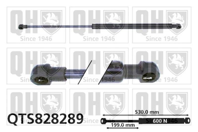 Image of QUINTON HAZELL Tailgate strut QUINTON HAZELL QTS828289