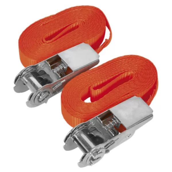 image of Sealey TD08045E Self-Securing Ratchet Tie Down 25mm x 4.5mtr 800kg Load Pair