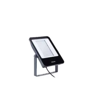 Image of Philips Ledinaire 150w Maxi LED IP65 Floodlight Asymmetric Beam Cool White - 911401733312