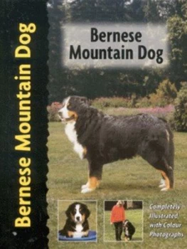 Image of Bernese Mountain Dog by Louise Harper Hardback