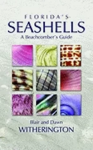 Image of floridas seashells a beachcombers guide