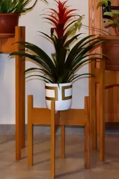 Image of Florny Handmade Solid Wood Plant Stand Planter (40 cm)