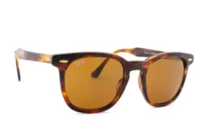 image of Ray-Ban Hawkeye RB2298 954/33 52