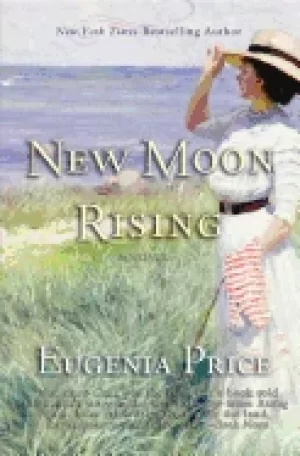 Image of new moon rising