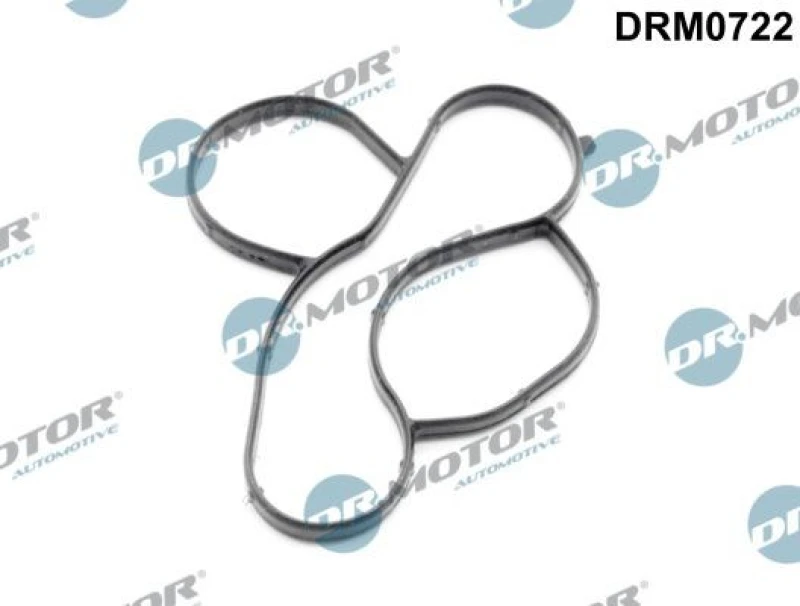 Image of DR.MOTOR AUTOMOTIVE Gasket, water pump DR.MOTOR AUTOMOTIVE DRM0722