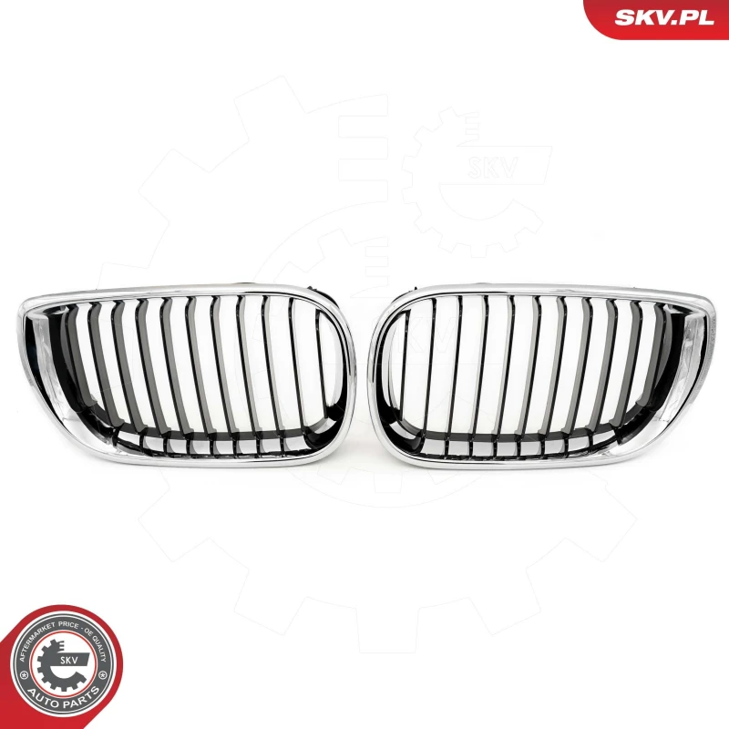 Image of ESEN SKV Radiator Grille ESEN SKV 66SKV079