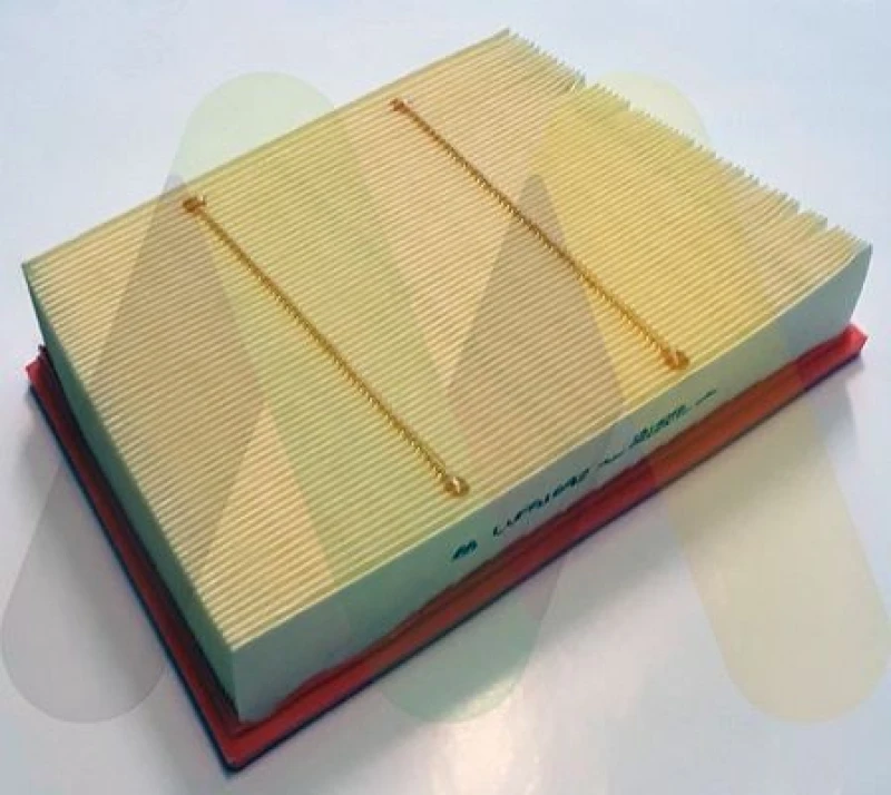 Image of MOTAQUIP Air filter MOTAQUIP LVFA1642