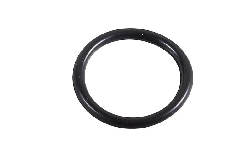 Image of Seal Ring METZGER 2430070