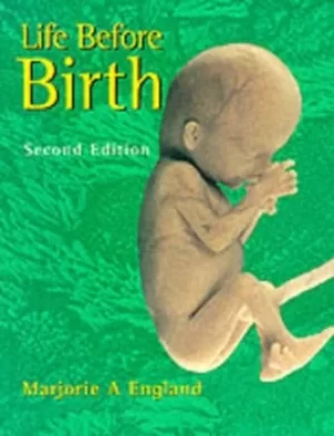Image of Life Before Birth by Marjorie A. England