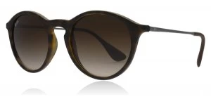 image of Ray-Ban 4243 Sunglasses Tortoise / Silver 865/13 49mm