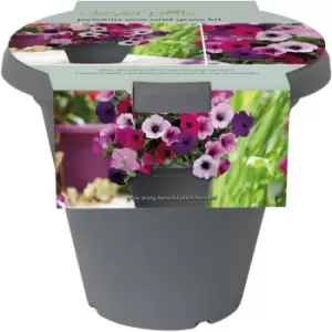 Clever Pots Salad Sow and Grow Kit - Garden & Outdoor