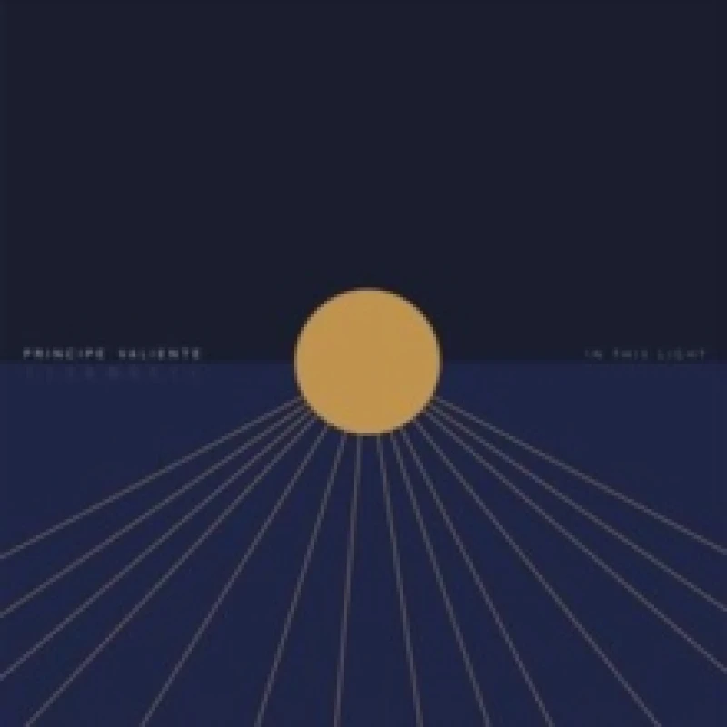 Image of In this light Vinyl