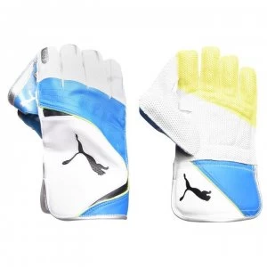 image of Puma Evo 3 Cricket Gloves - White/Blue