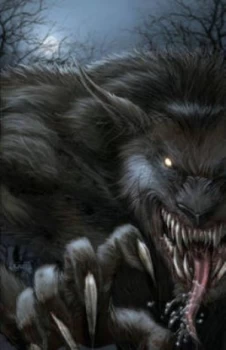Image of Vampires and Werewolves by Patrick Shand Book