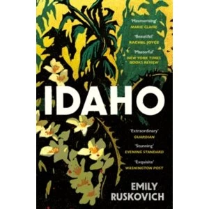 Image of Idaho Paperback / softback
