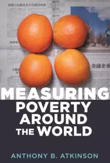 Image of Measuring Poverty around the World