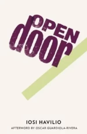 Image of Open door by Iosi Havilio