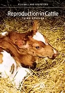 Image of reproduction in cattle